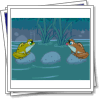 6 frogs