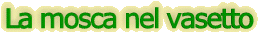 mosca.gif (5289 byte)