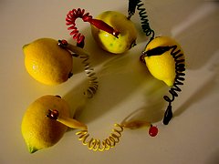 IMG_3655_rid.JPG (9944 byte)
