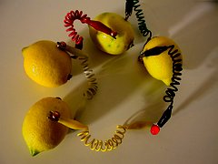 IMG_3656_rid.JPG (9907 byte)
