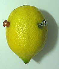 IMG_3661_rid.JPG (10177 byte)