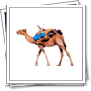 The merchant bequest