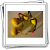 Battery made by lemons