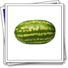The sixty watermelons