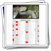 2010 3D calendar