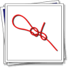 The knots