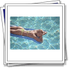 The swimming pool